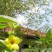 2005_indonesiatrip_222_2